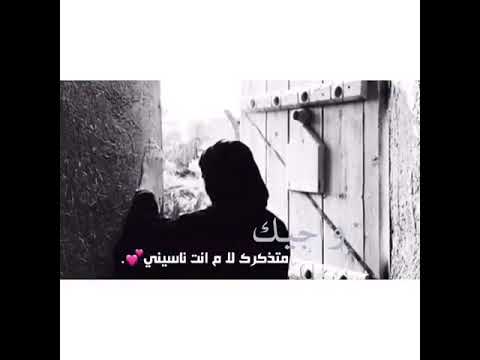 شيلة ابسط حقوقي قصيره