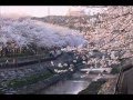 【負けられない】今更の反体制ソング  なんて世の中はこんなことばかり起こるのか。