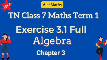TN 7th Maths |  Exercise 3.1 Full | Term 1 | Algebra| AlexMaths