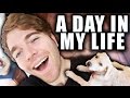 A DAY IN MY LIFE