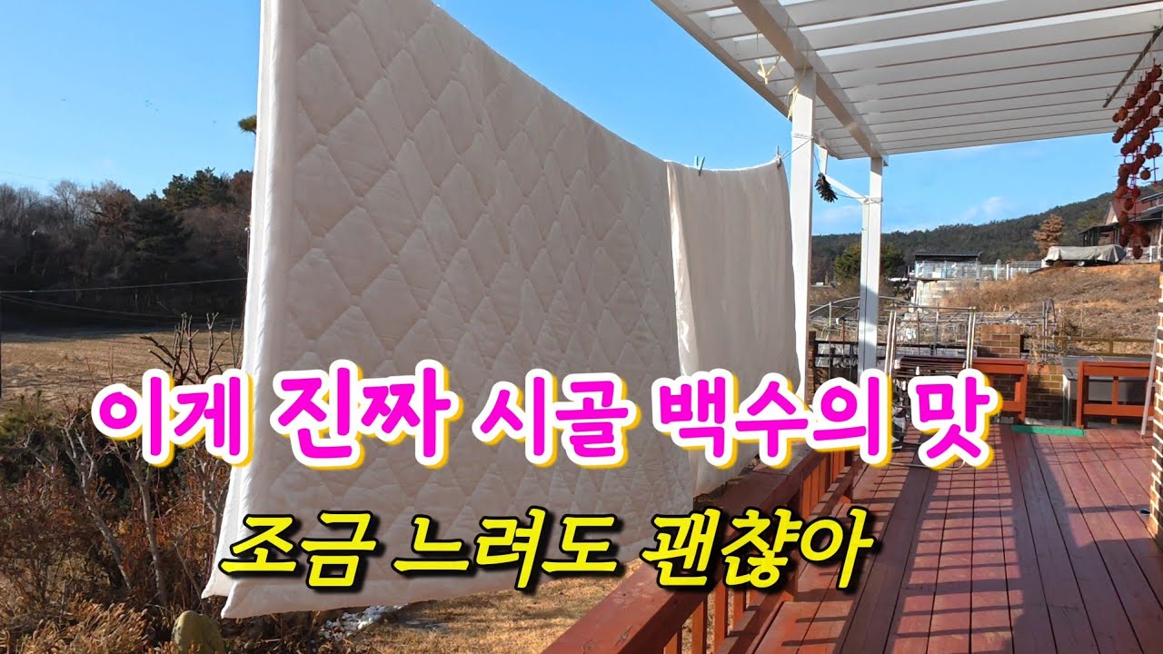 시골 백수가 도시보다 더 바쁜 이유 (feat. 아궁이 찜질방 로망) 겨울 시골 일상