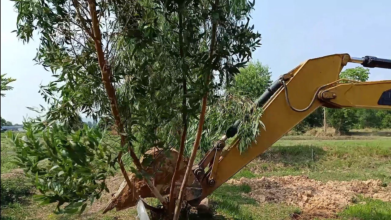 หัวหน้าจร๊ยเจ้าทำอะไรของเจ้า...เกือบไปแล้วเรา!!!!