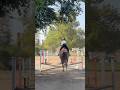 this is the closest video that i have of the one stride.. 😭 #horse #strides #canter #crossrail #eq