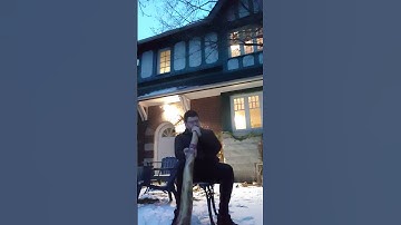 Thumbnail of Is this where Didgeridoos belong?