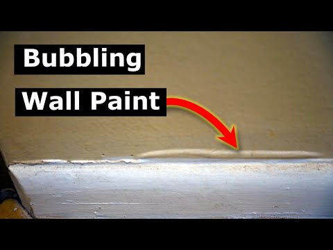 Why is My Paint Bubbling On Walls? How To Repair, Re-Paint