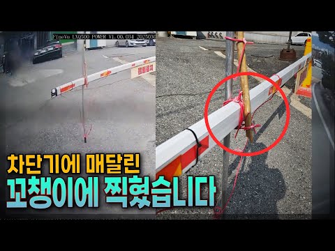 24016회. 건물주는 본인 책임 없다는데.. 그럼 차단기는 누구꺼?