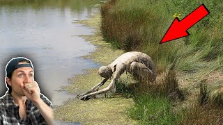 Top 3 SCARIEST run-ins with unknown predators | Missing 411 (Part 14)