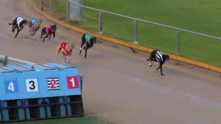 Gawler-21072020-Race-7