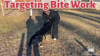 Targeting Bite Work With Steele