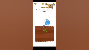 🧠 Brain Blow Level 291