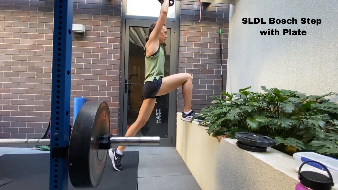 SLDL Bosch Step with plate - YouTube