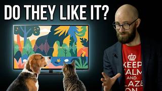 Do Dogs and Cats Like It if You Leave the TV or Music on for Them?
