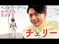 ベイビー・ブーのおやすみラジオ(チェリー)