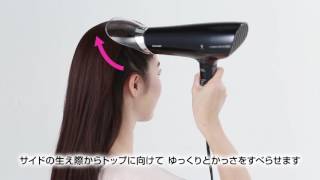 SHARP自動除菌離子吹風機IB-GX9KT 5分鐘頭皮護理
