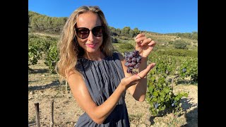 Праздник сбора урожая / Fête des vendanges