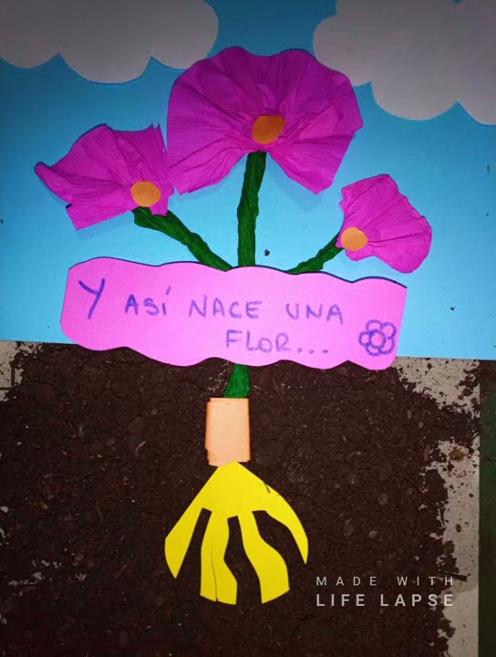 Así nace una flor 🌸 - YouTube