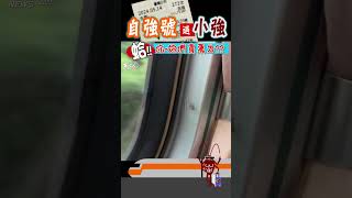 自強號遇小強 蛤你~妳們買票了shorts｜TVBS新聞 @TVBSNEWS01