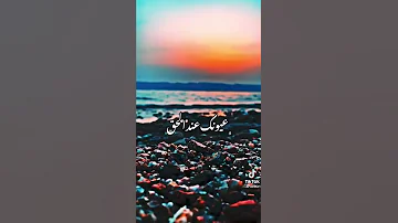 انتا تغنيلي عليها عيون و أنا لو قلبي دق دوم تا دوم دوم تاك تاك حالات واتس 