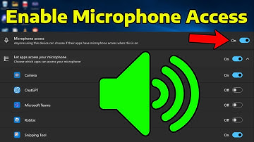 How To Enable Microphone Access in Windows 11