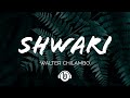 Shwari By Walter Chilambo Video Lyrics