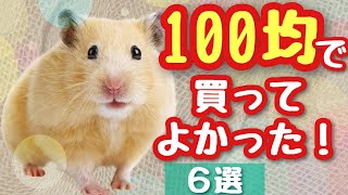 【100均】ハムスター飼育に使える商品　選