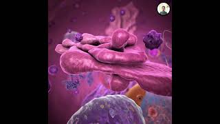 Microbial Universe The Power of the Invisible World