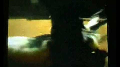 BioComp - Natural (Stick into "&fmt=18" for STEREO Sound)