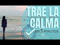 🌿Relajación 5 Minutos para recuperar la CALMA con tu RESPIRACIÓN