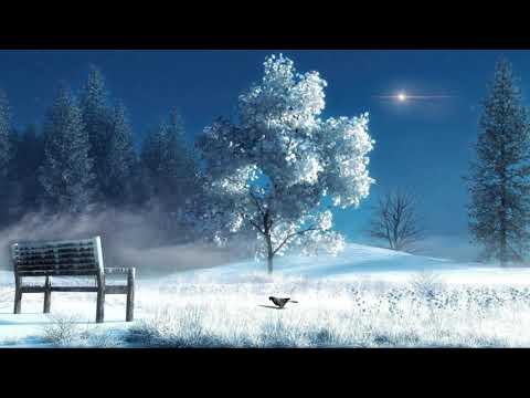 قصة الصحابي الملقب ب ذي النور