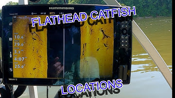 Targeting Flathead Catfish! Locations