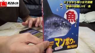 【R28ch】第160回　スマホから飛び出す図鑑　「学研の図鑑lIVE　魚」