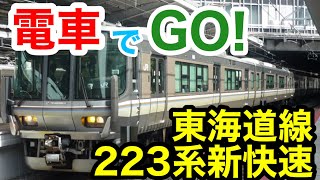 【電車でGO!】東海道線 京都→神戸 223系 新快速