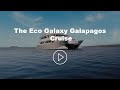 The Eco Galaxy Galapagos Cruise - Small Ship Galapagos Cruise