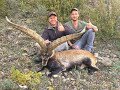 IBEX HUNT - Spanish Ibex Grand Slam - Hunting in Spain