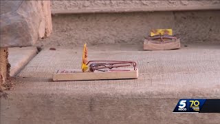 Pest control companies see spike in rodent infestations in Oklahoma City area