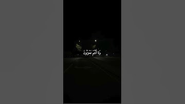 سورة الزخرف I يا عبادي لا خوف عليكم اليوم #المنشاوي #حالات_واتس #آيات #قرآن #لايك #راحة_نفسية