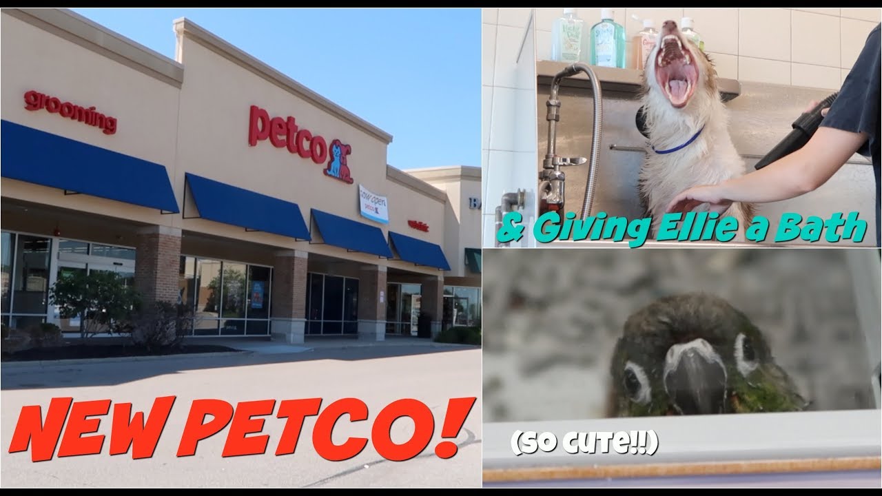 petco dog wash near me