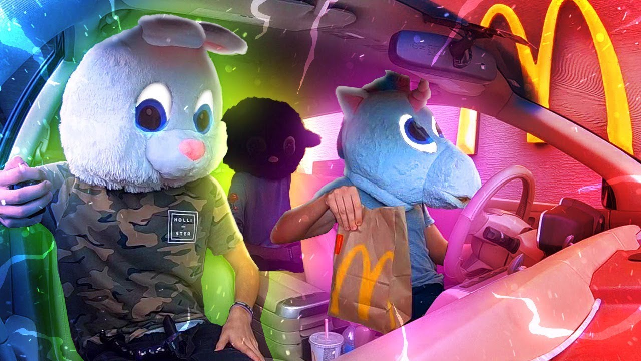 visa americana costa rica ANIMAIS PEDINDO COMIDA no DRIVE THRU!