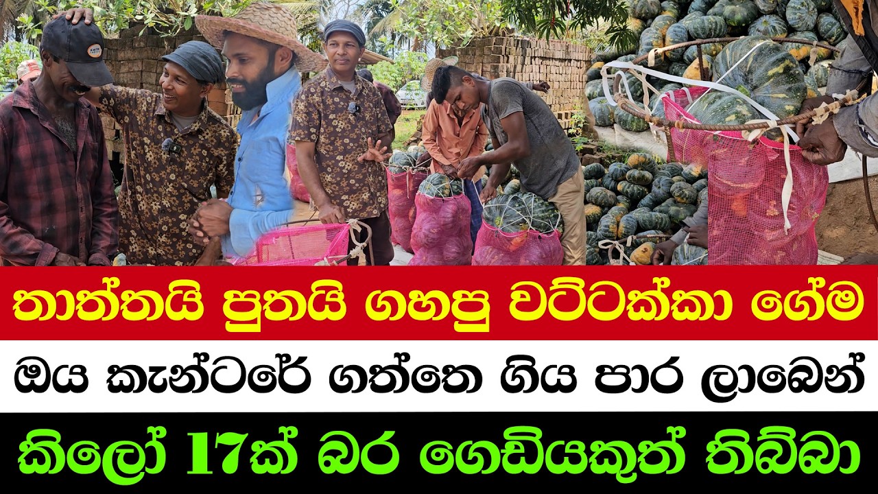 Father & Son Bought a Canter in Just 2 Months!