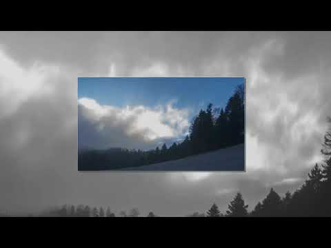 واقع الأمة كلمة مؤثرة للشيخ علي القرني حفظه الله