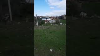 Eğer Elleriniz Diken Yaraları Ile Kan Revan Içinde Kaldıysa,Güle Dokumanıza Çok Az Kalmış Demektir..