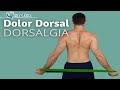 DOLOR DORSAL o DORSALGIA |  6 EJERCICIOS ALIVIAR y PREVENIR | Fisiolution