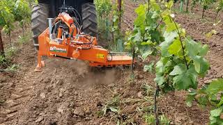 Rinieri EL In-Row Cultivator In a vineyard with young vines