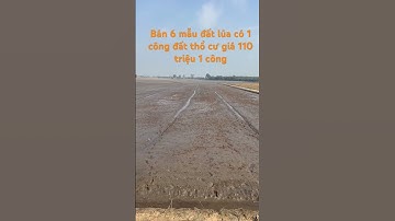 Cần bán nhanh DT 6 mẫu đất lúa có 1 công đất thổ cư giá 110 triệu 1 công thuộc huyện Thạnh hóa