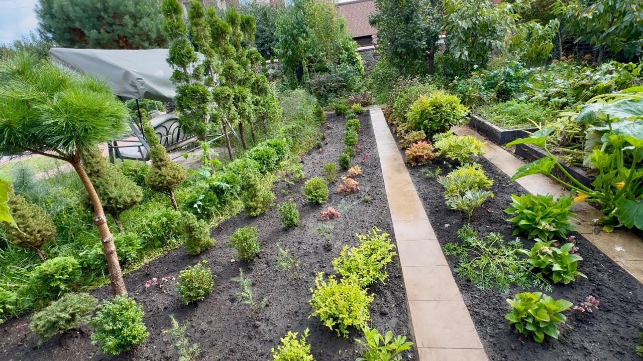 ВОЗВРАЩАЕМ БЫЛУЮ КРАСОТУ УЧАСТКУ! И ДАЖЕ ПОТЕРЯШКА НАШЛАСЬ! 👍🏻🌳