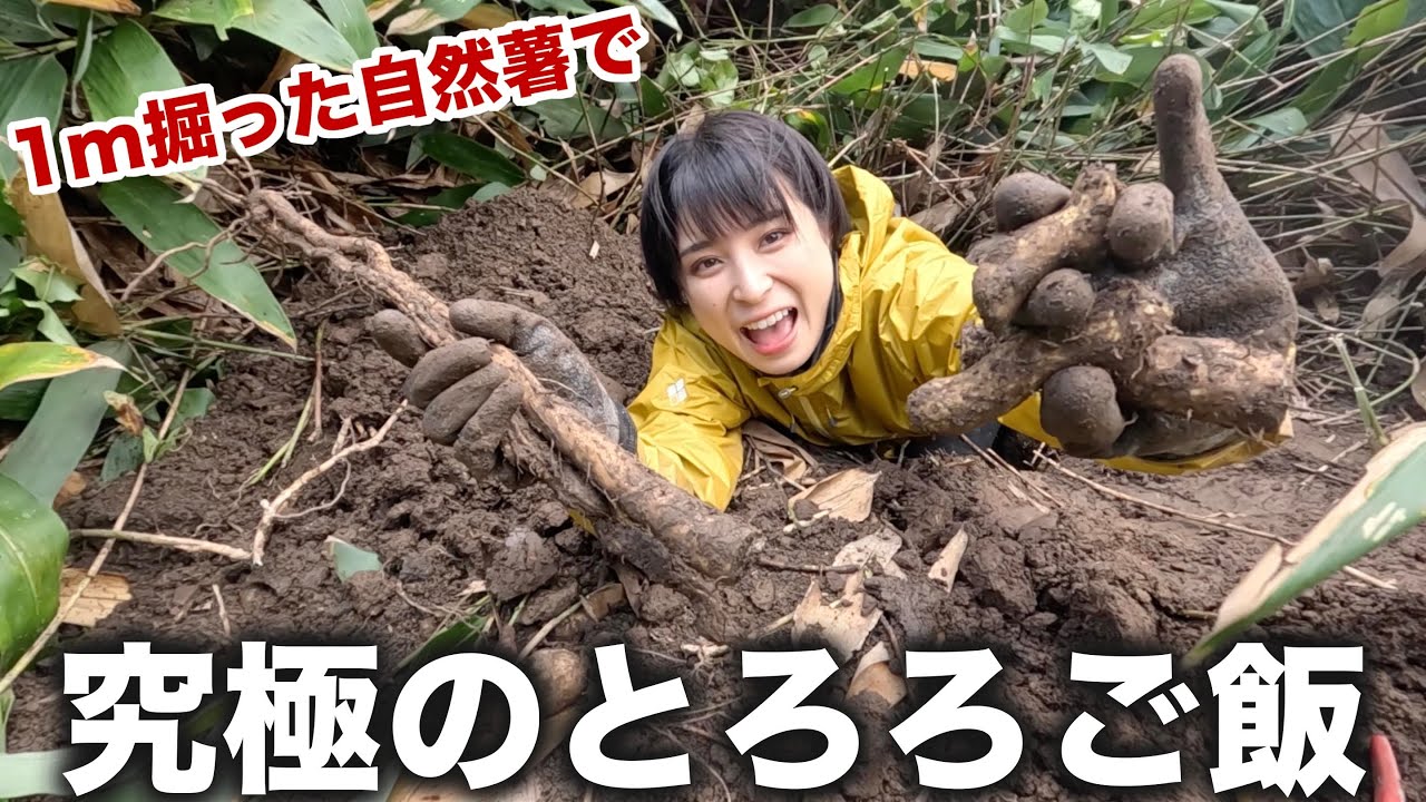 掘り起こした自然薯のとろろご飯が絶品 - YouTube