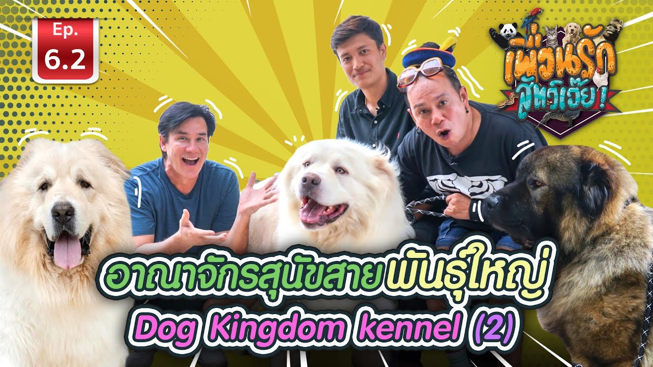 Dogkingdom อาณาจักรสุนัขสายพันธุ์ใหญ่ I เพื่อนรักสัตว์เอ๊ย Ep.6/2 