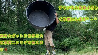 令和 超特大ポットに世界三大紅葉樹ニシキギを植える