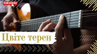 Цвіте Терен (Гітара)