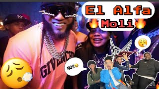 (AMERICANS REACT) El Alfa El Jefe x Papa Jeison - Moli REACTION!!🔥